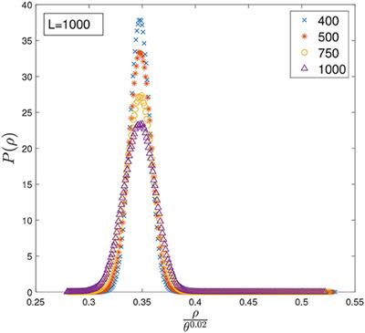 The Forest Fire Model: The Subtleties of Criticality and Scale Invariance